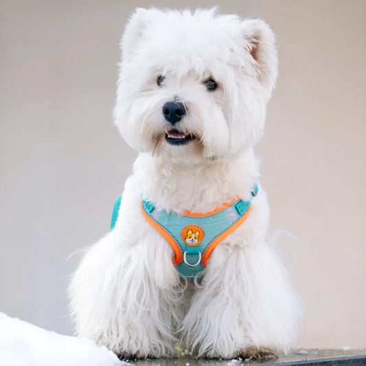Ademend Hondenharnas voor Kleine Honden