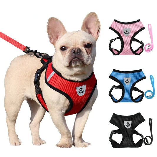 Comfortabel Puppytuig Ademend en Veilig